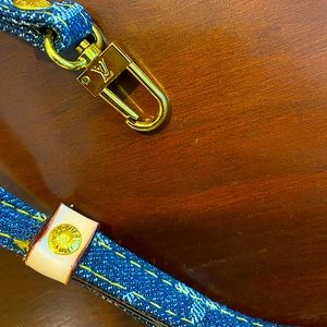 Louis Vuitton Dog Leash and Collar